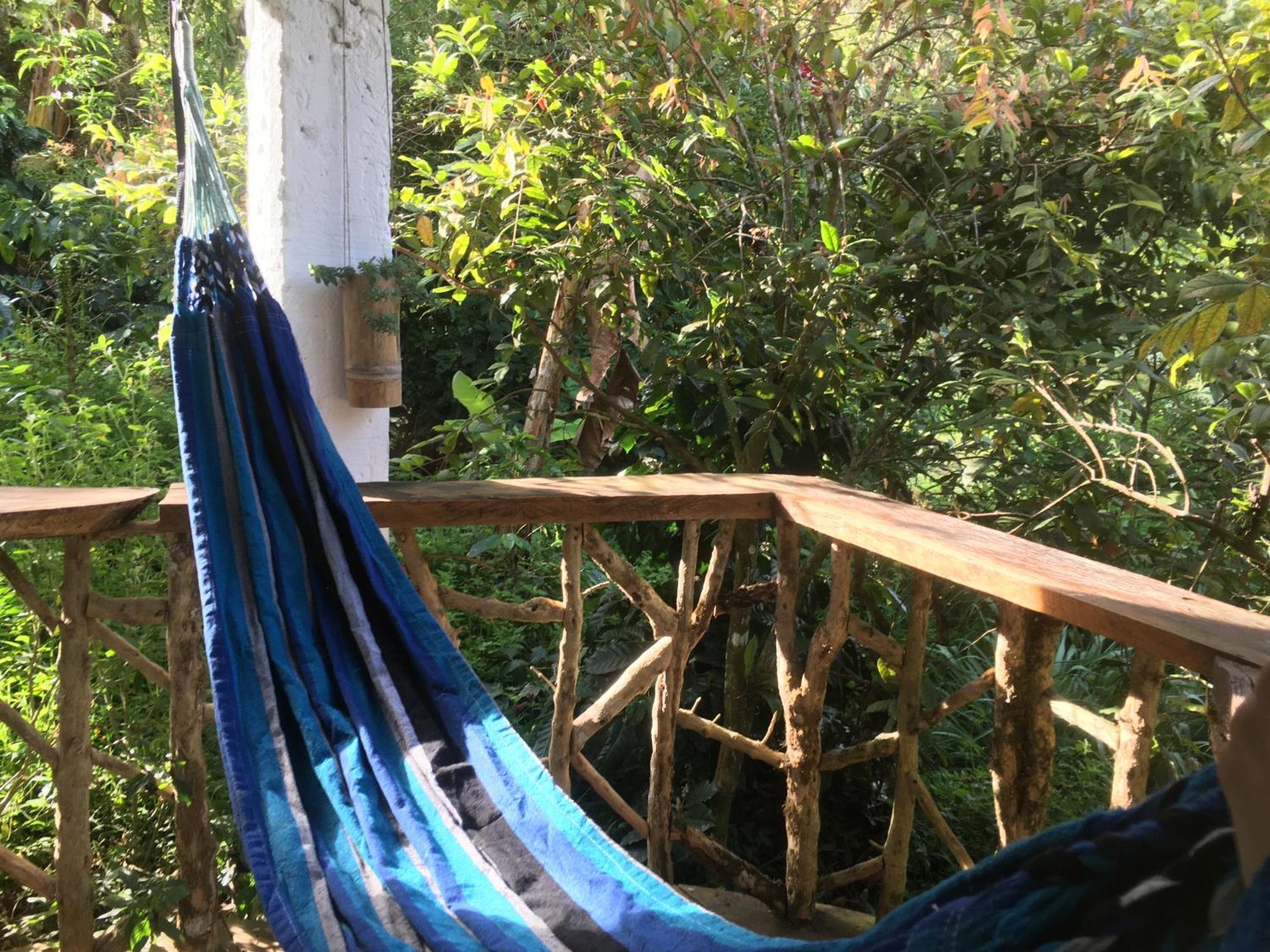 Finca Flora Del Rio, Habitacion Las Orquideas Pijao 외부 사진