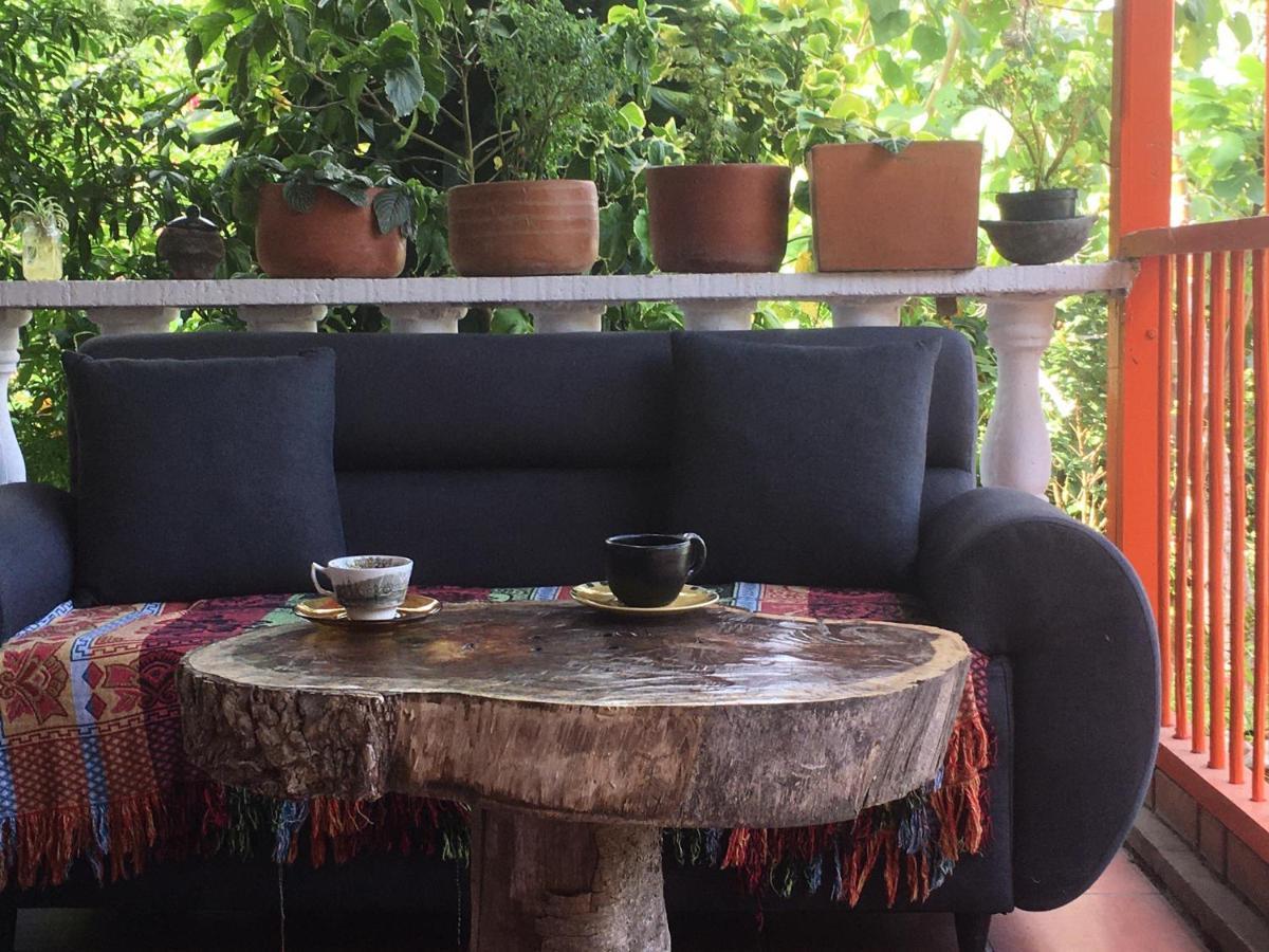 Finca Flora Del Rio, Habitacion Las Orquideas Pijao 외부 사진